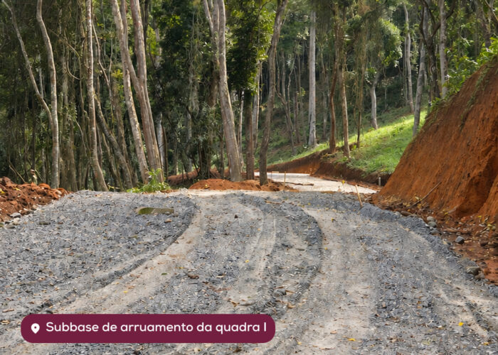 Foto da obra